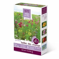 Jachère Belles Des Champs