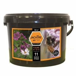 Jachère Mellifère Fleurs D'été