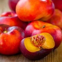 Nectarinier - Brugnon Plat à Chair Jaune Bio